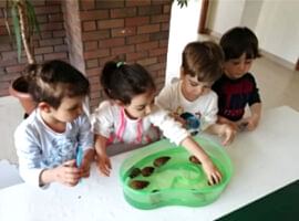 Flexible Education Program