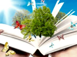 Montessori Education