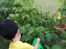 Agriculture Workshop