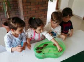 Esnek Eğitim Programı