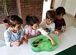 Esnek Eğitim Programı
