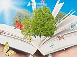 Montessori Eğitimi