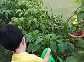 Tarım Atölyesi